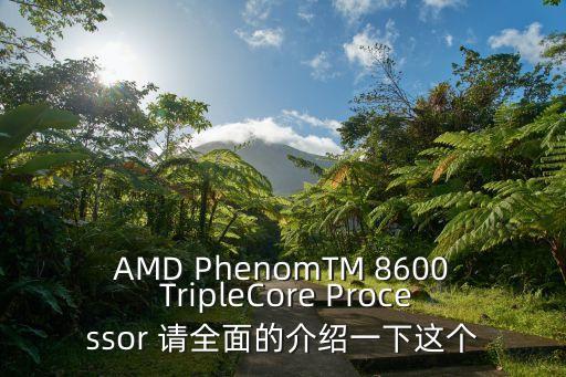 AMD PhenomTM 8600 TripleCore Processor 請全面的介紹一下這個