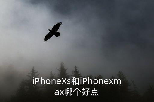 xs與xsmax，iphonex iPhone XS iPhone Xsmax 買哪個好 性價比高 求大神指教下