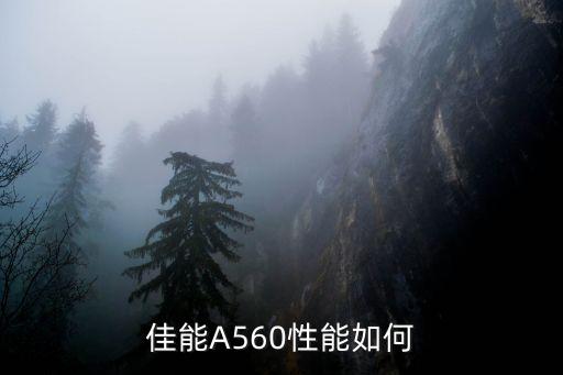 佳能A560性能如何