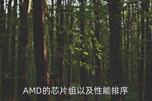 amd芯片組，現(xiàn)AMD主流的芯片組有哪些