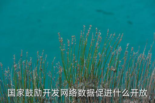 政府?dāng)?shù)據(jù)開放 信息經(jīng)濟(jì),政府?dāng)?shù)據(jù)開放是政府信息公開升級版