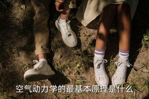 空氣動力學(xué)原理，飛機(jī)用什么原理起飛的