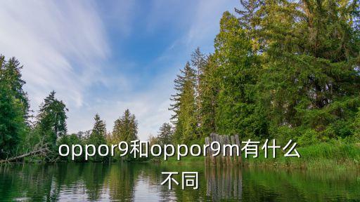oppor9和oppor9m有什么不同