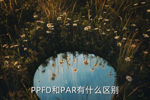 PPFD和PAR有什么區(qū)別
