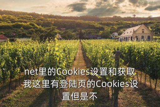 websdr，net里的Cookies設(shè)置和獲取 我這里有登陸頁(yè)的Cookies設(shè)置但是不