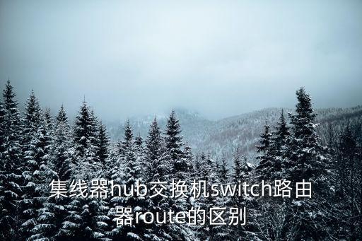 集線器hub交換機switch路由器route的區(qū)別