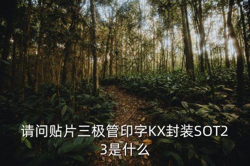sot23封裝，貼片集成電路SOT23封裝參數(shù)引腳定義印字