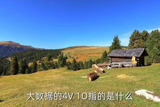 大數(shù)據(jù)的4v,大數(shù)據(jù)的4v特性4v指的是velocity