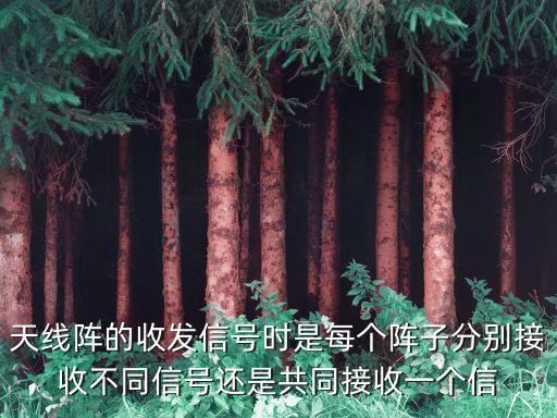 天線陣的收發(fā)信號時是每個陣子分別接收不同信號還是共同接收一個信