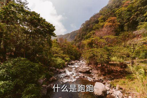 54465，為何影音先鋒下載速度剛開始飆升1下馬上就01KBS的速度下載超不過