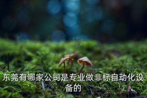 東莞有哪家公司是專業(yè)做非標自動化設備的