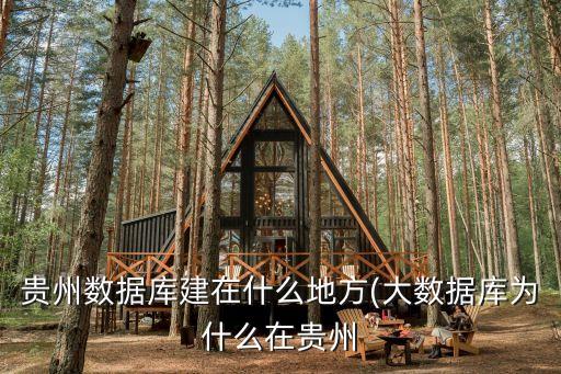 數(shù)據(jù)中心運(yùn)營商,貴州數(shù)據(jù)中心有哪些大數(shù)據(jù)?