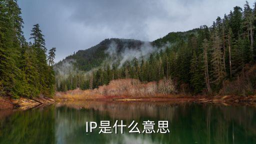 ip指什么，IP是什么意思