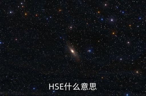 HSE什么意思