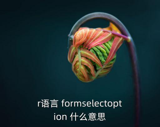 r語(yǔ)言 formselectoption 什么意思