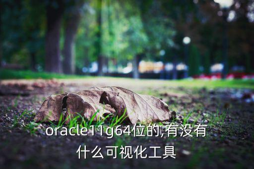 oracle11g64位的,有沒有什么可視化工具