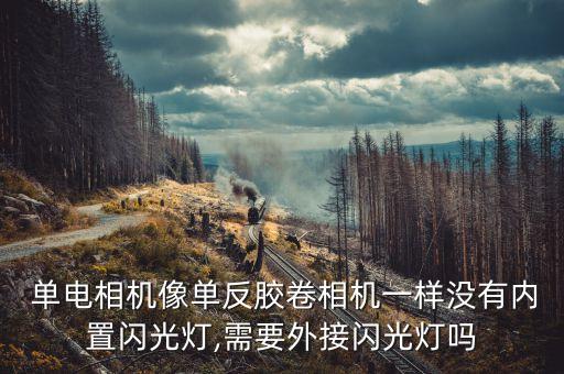  單電相機像單反膠卷相機一樣沒有內(nèi)置閃光燈,需要外接閃光燈嗎