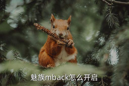 魅族mback怎么開啟