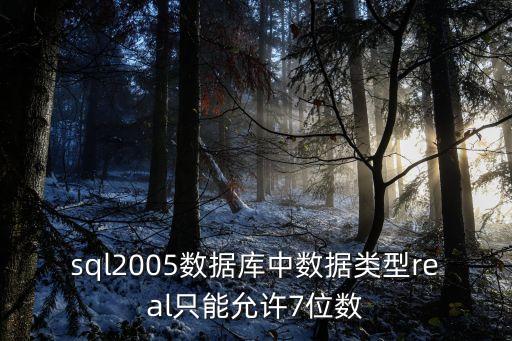 sql2005數(shù)據(jù)庫中數(shù)據(jù)類型real只能允許7位數(shù)