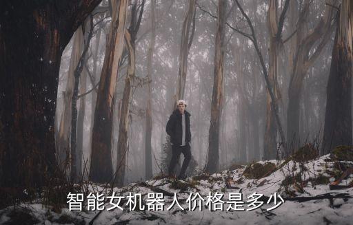 性機器人 中國,中國首個美女智能機器人問世男性機器遭瘋搶