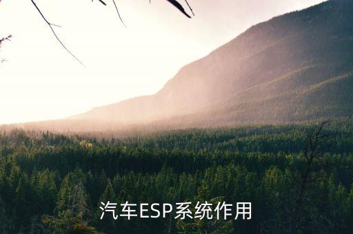 車(chē)身穩(wěn)定系統(tǒng)有什么用，汽車(chē)ESP系統(tǒng)作用