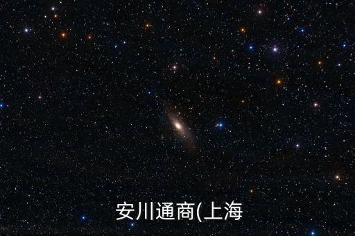  安川通商(上海