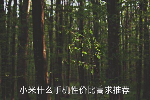 小米什么手機(jī)性價(jià)比高求推薦