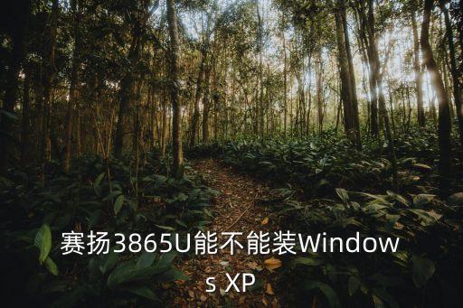 3865u，i3與3865U哪個好