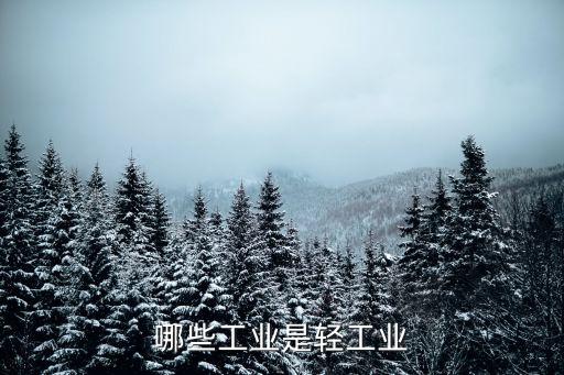 哪些工業(yè)是輕工業(yè)