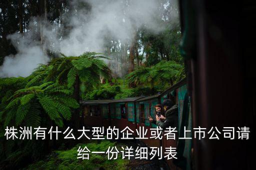湖南企業(yè)，湖南最大的企業(yè)是什么企業(yè)