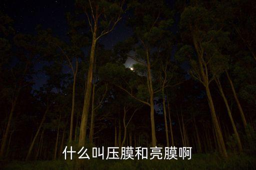 壓膜，什么叫壓膜和亮膜啊