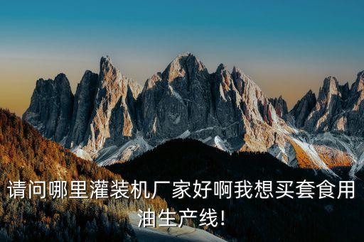 液體灌裝自動化設備廠家有哪些,液動灌裝機生產廠家有哪些?