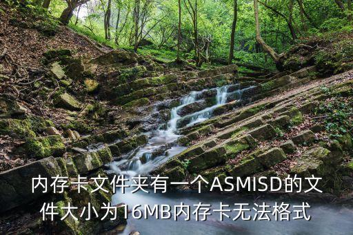 內(nèi)存卡文件夾有一個ASMISD的文件大小為16MB內(nèi)存卡無法格式