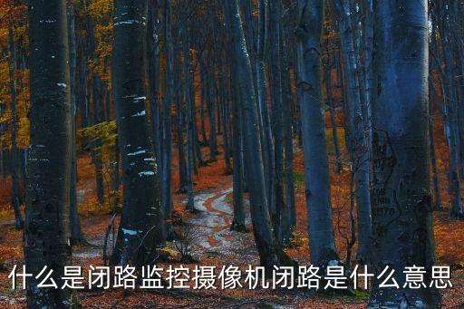 什么是閉路監(jiān)控?cái)z像機(jī)閉路是什么意思