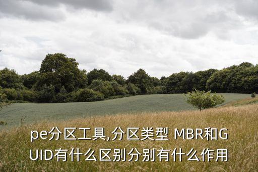 數(shù)據(jù)恢復(fù)MBR的作用是什么,MBR的作用是什么