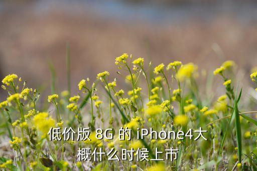 低價(jià)版 8G 的 iPhone4大概什么時(shí)候上市