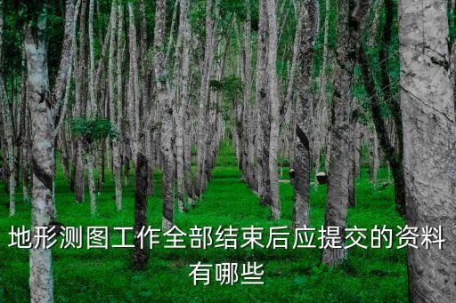 地形測(cè)圖工作全部結(jié)束后應(yīng)提交的資料有哪些