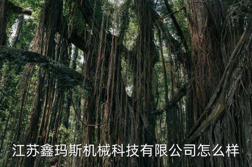 江蘇鑫瑪斯機械科技有限公司怎么樣