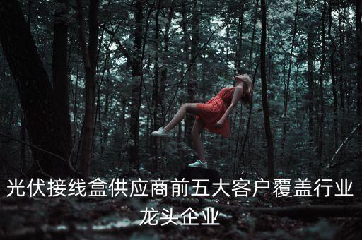 光伏接線盒供應(yīng)商前五大客戶覆蓋行業(yè)龍頭企業(yè)