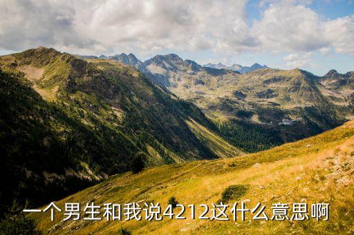 一個男生和我說4212這什么意思啊
