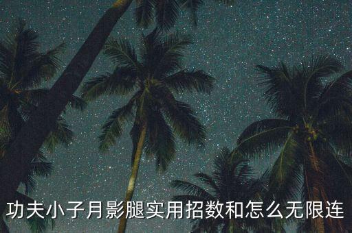 cccXXX，功夫小子月影腿實用招數(shù)和怎么無限連