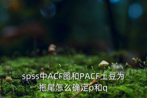 spss中ACF圖和PACF土豆為拖尾怎么確定p和q