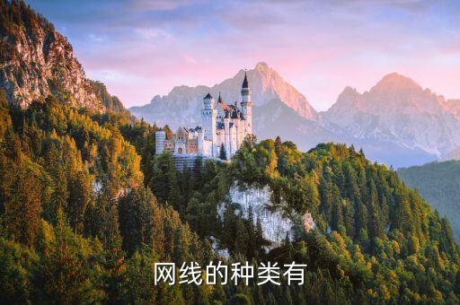 網(wǎng)線的種類有