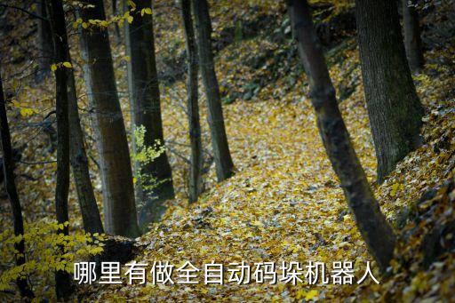 遼源自動化設(shè)備批發(fā),工業(yè)自動化設(shè)備哪些產(chǎn)品比較暢銷?