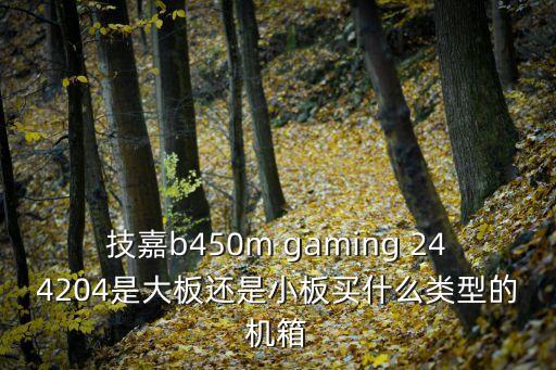 技嘉b450m gaming 244204是大板還是小板買什么類型的機(jī)箱