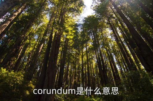 corundum，錢江摩托車化油器上的corundum是什么意思