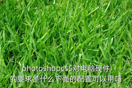 photoshopcs5對電腦硬件的要求是什么下面的配置可以用嗎