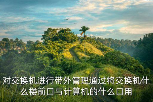 帶外管理，對(duì)交換機(jī)進(jìn)行帶外管理通過(guò)將交換機(jī)什么樓前口與計(jì)算機(jī)的什么口用