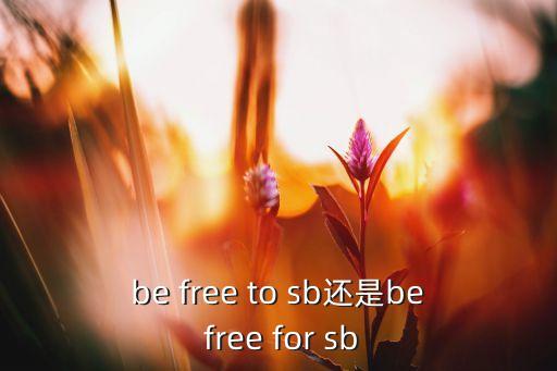 be free to sb還是be free for sb