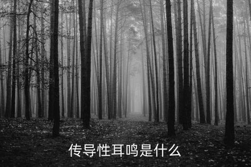 傳導(dǎo)性，傳導(dǎo)性耳鳴是什么